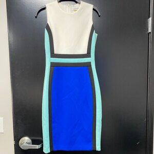 Calvin Klein Colorblocked Sheath  Dress Size 2
